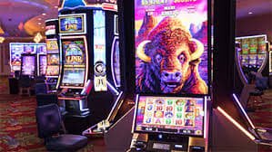 333bet8