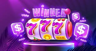 333bet8